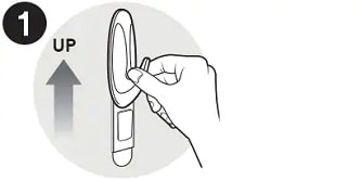 reveal the mounting base and strip
