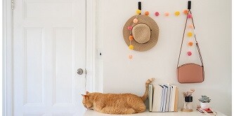 Cat perched on an entryway console, with items hung and organised using Command hooks
